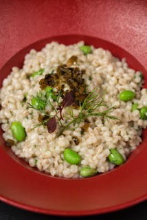 A risotto of Barley and edamame with artichoke purée and jalapeño chutney